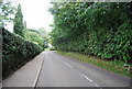 Main Rd, heading to Knockholt Pound