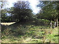 Mysterious mound beside Gypsy Lane, Nantgarw