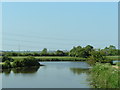 Somerset Levels at Gold Corner