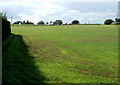 The view west from Ifton Hill towards Leechpool