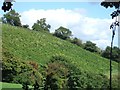 Old Walls Vineyard, Bishopsteignton