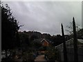 View of the backs of houses on Abbotsbury Road #2