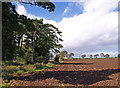 NS3640 : Ploughed Field by wfmillar