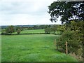 Footpath To Sandonbank