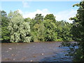NY6963 : The River South Tyne (2) by Mike Quinn
