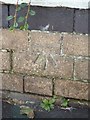 Benchmark on Abbey Street, Llandudno