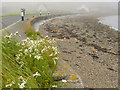 Beach at Vidlin Voe