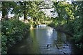 Moat at South Elmham Bishop