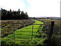 Grassy lane, Davagh Upper