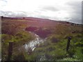 Bogland, Davagh Upper