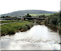 River Monnow downstream from Monnow Bridge, Monmouth