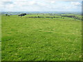 SO1386 : Grazing land on the Kerry Ridgeway by Philip Halling