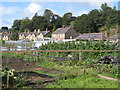 Allotments, Station Road (4)