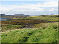 Tidal inlet at Eorabus