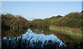 Park Pond Nature Reserve - Tondu