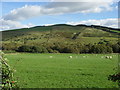 NT6144 : Farmlands at Corsbie in Berwickshire by James Denham