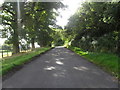 Minor road heading out of Bassendean