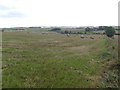 Farmland near Brae of Blackton