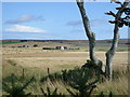 Farmland near Honeyneuk