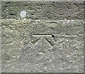 Benchmark on the bridge