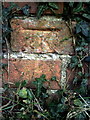 Benchmark on wall at junction of Sellwood Road and Terrington Close