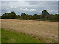 Field by the railway