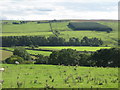 Farmland northeast of Woodhall