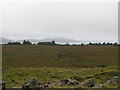 NM4146 : Course of the Allt Loch a Ghail across moorland near Achleck by Sarah Charlesworth