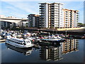 Reflections on the River Ely, Cardiff