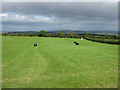 The last few bales