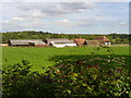 Cider Mill Farm, Warnham