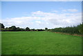 Countryside north of Halstead