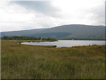 NN1488 : Small bay on Loch Arkaig near Inver Mallie by Dave Spicer