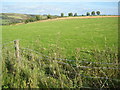 Farmland above Bryn-mawr