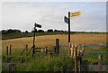 Footpath signs on Dark Lane