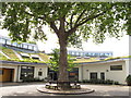 Larmenier and Sacred Heart Catholic Primary School