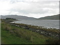 NM6626 : Shore of Loch Spelve by Sarah Charlesworth