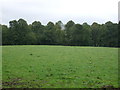 Farmland, Netherdale