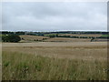 Farmland near Shargerwells