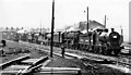 Polmadie Locomotive Depot: a string of locomotives resting on a Sunday