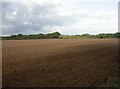 Walkford, ploughed field