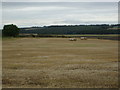 Farmland near Upper Smiddyseat