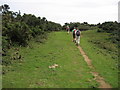 Saxon Shore Way on Creteway Down