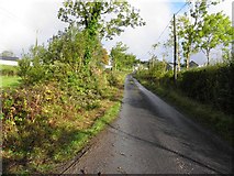 G8978 : Road at Dromore Upper by Kenneth  Allen
