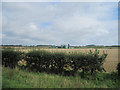 TL4945 : Farm off A1301 east of Hinxton by John Firth