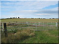 Triangle of Gates near Park Farm