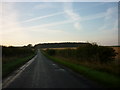 Croxton Road towards the wood at Audleby Farm