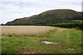 Coastal Farmland