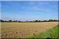 Fields near Fakenham