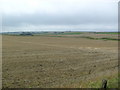 Farmland, Bonnykelly